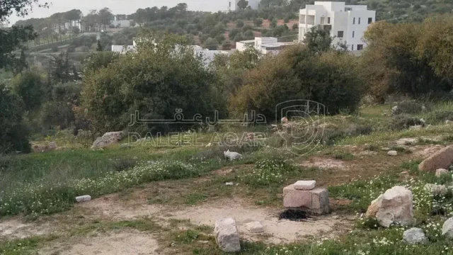 أرض - غرب عمان بدر الجديده  - 400000 دأ
