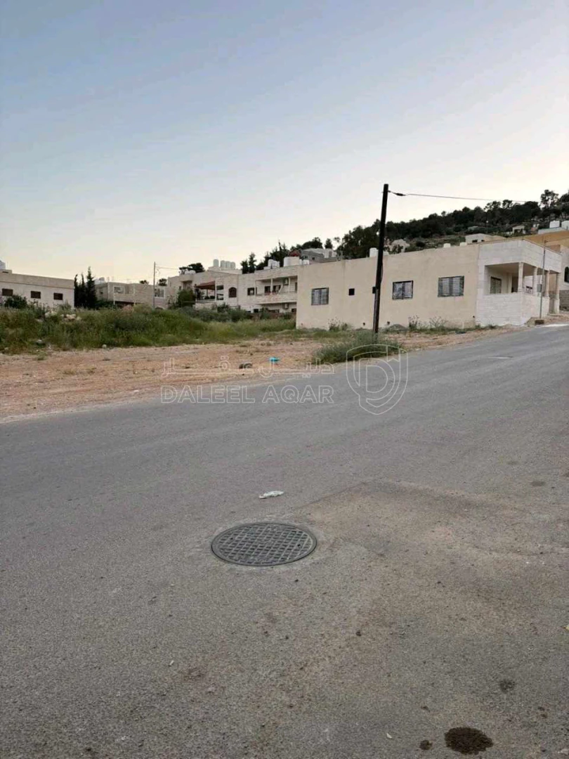 أرض في عين الباشا - خرشا  - 50,150 دأ - صورة 1