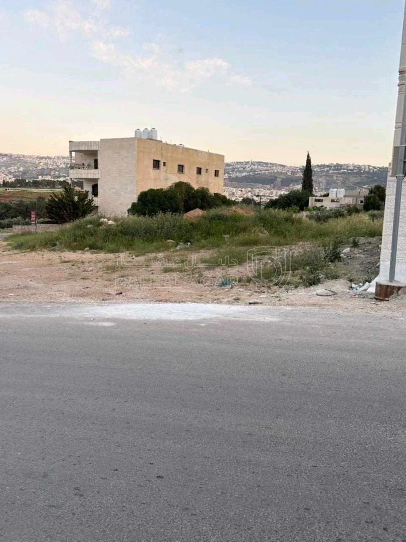 أرض في عين الباشا - خرشا  - 50,150 دأ - صورة 1
