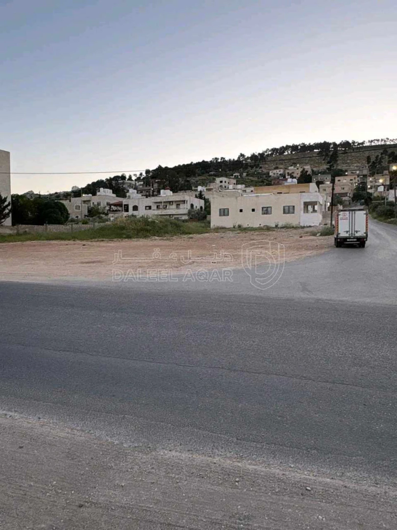 أرض في عين الباشا - خرشا  - 50,150 دأ - صورة 1
