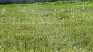 أرض - ارض سكنيه مميزه للبيع في حي الباير الجويده بسعر 63 - 63000 دأ