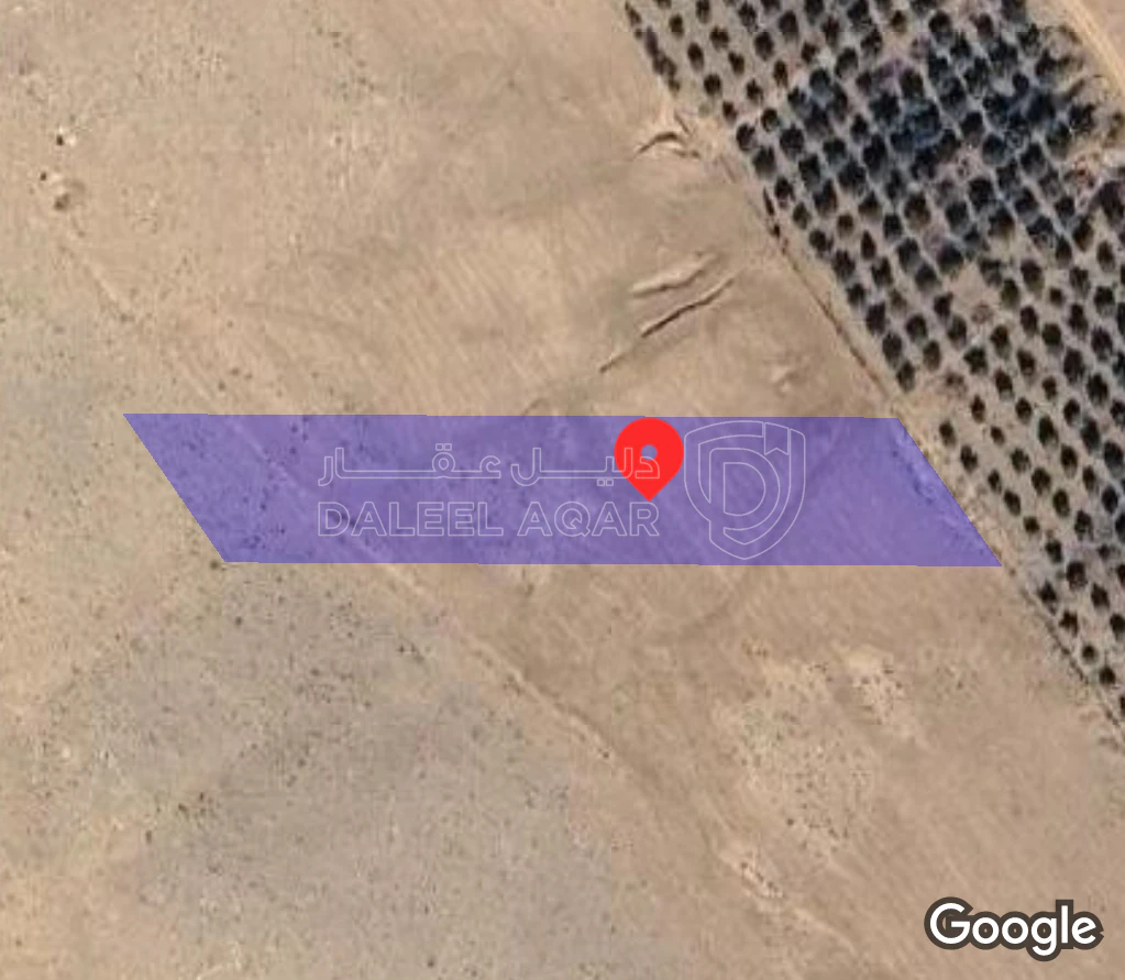 أرض في المفرق_فاغ - 8,000 دأ - صورة 1