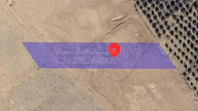 أرض في المفرق_فاغ - 8,000 دأ - صورة 1