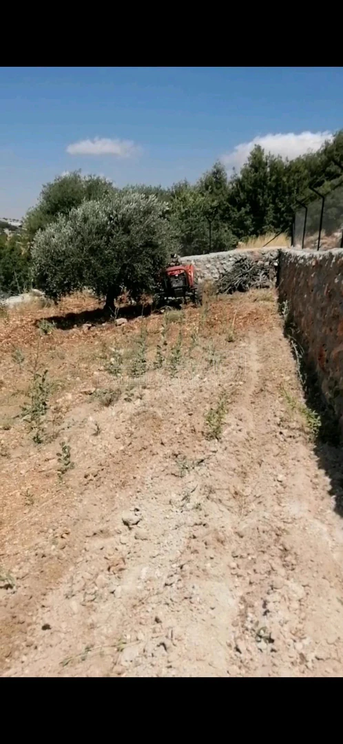أرض في عبين طريق الوادي - 73,000 دأ - صورة 1