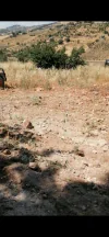 أرض في عبين طريق الوادي - 73,000 دأ - صورة NaN
