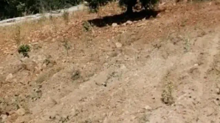 أرض في عبين طريق الوادي - 73,000 دأ - صورة 1