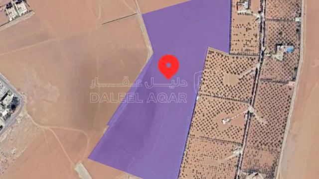 أرض في منجا  حوض طاسان ٤٣ دونم - 60,000 دأ - صورة 1