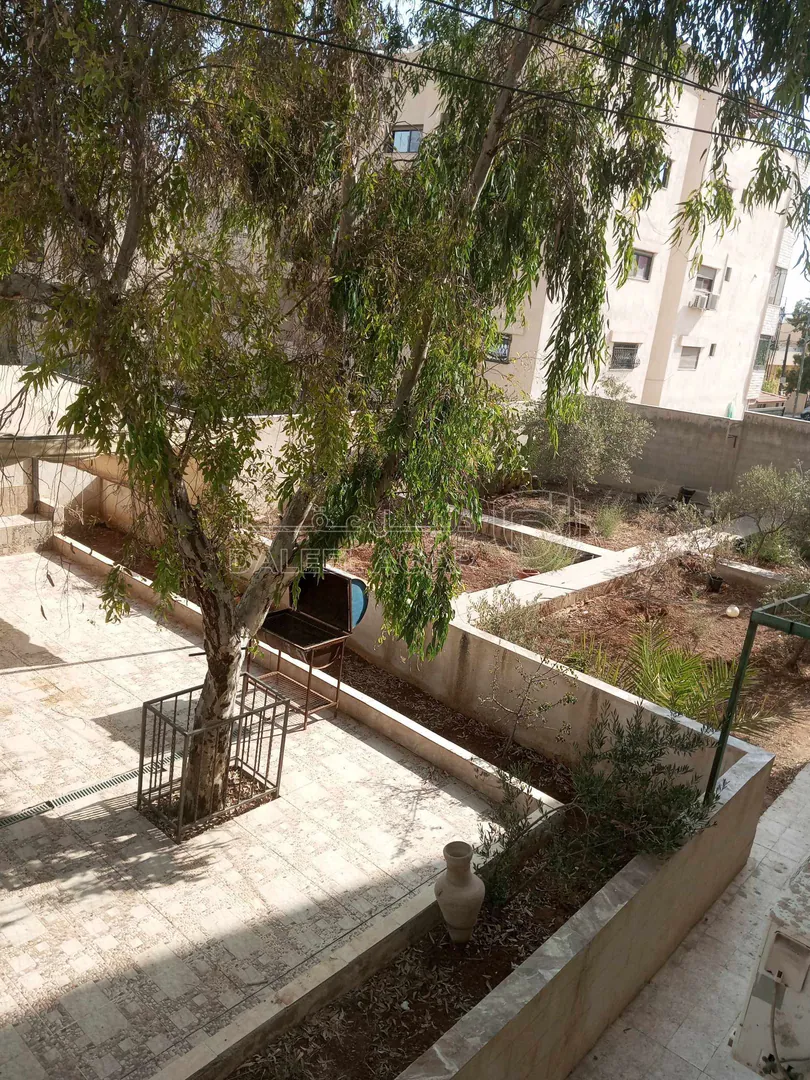مبنى في الزرقاء خلف السيفوي  - 250,000 دأ - صورة 1