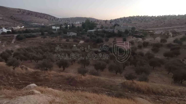 أرض في الزرقاء قضاء بيرين صروت  - 187,500 دأ - صورة 1