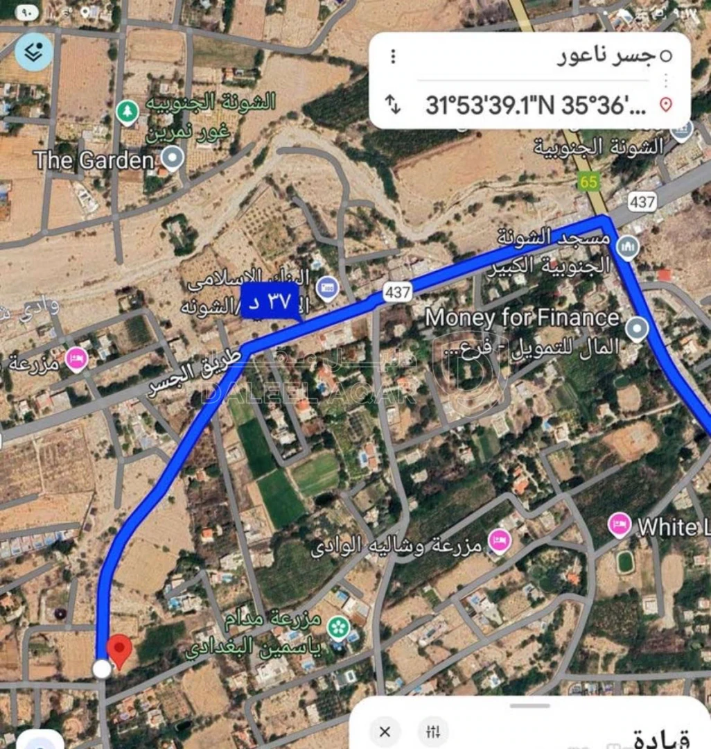أرض في ارض الشونه الشمال منطقة شاليهات ٣ شوارع - 85,000 دأ - صورة 1