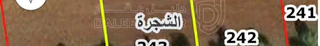 أرض في اربد /الرمثا/ الشجرة / الزعتر بالقرب من منزل حسبان - 28,000 دأ - صورة 1