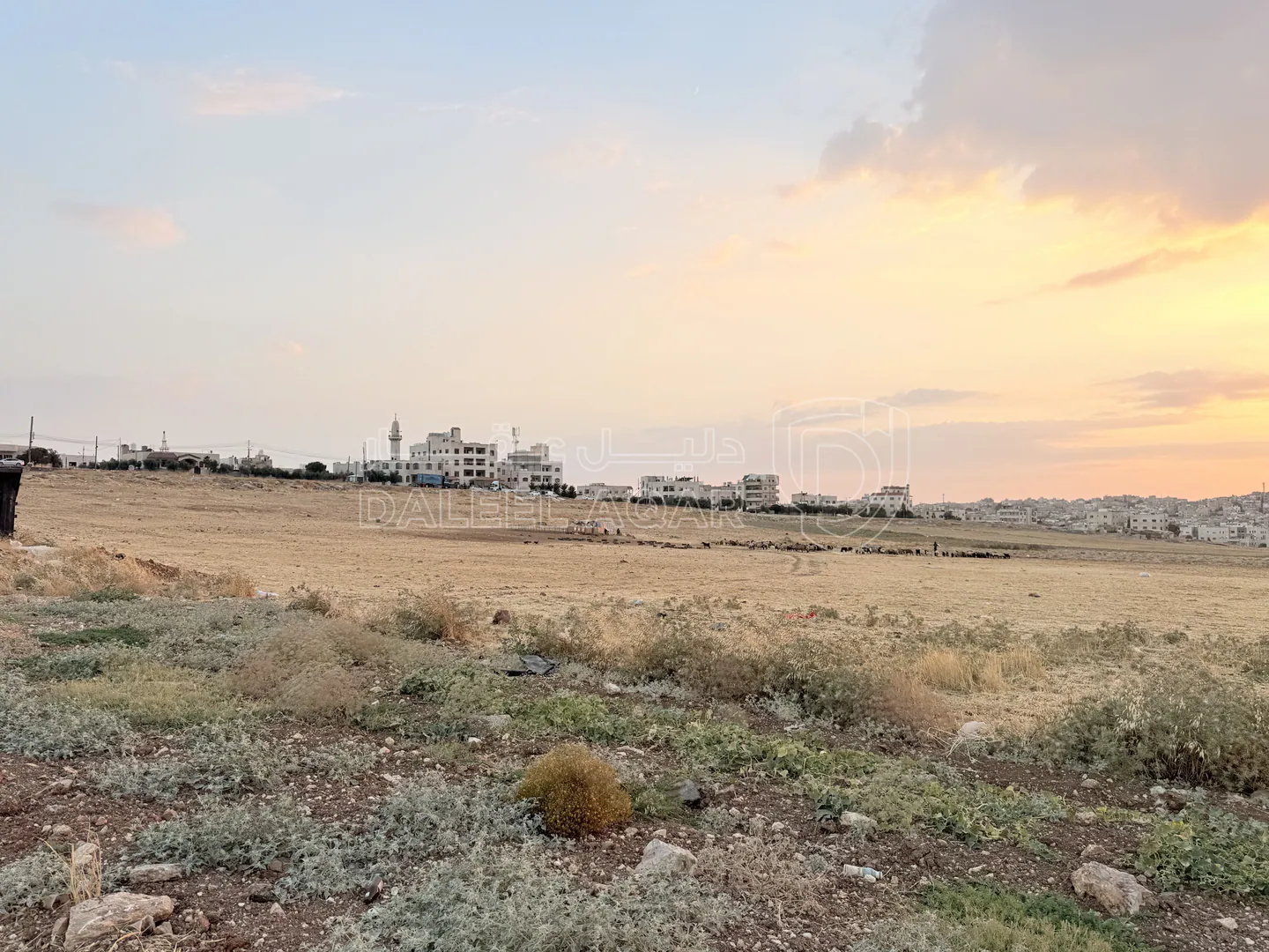 أرض في أرض صناعية مميزة للبيع في الجويدة -  1020م2 - 204,000 دأ - صورة 1