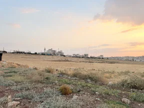 أرض في أرض صناعية مميزة للبيع في الجويدة -  1020م2 - 190,000 دأ - صورة NaN