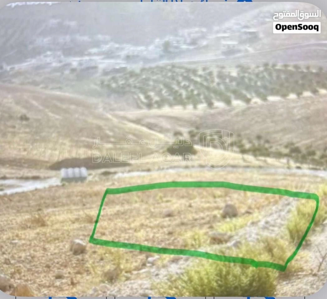 أرض في قطعه ارض للبيع ، تبعد ا كيلو متر عن شارع بيرين - 17,500 دأ - صورة 1