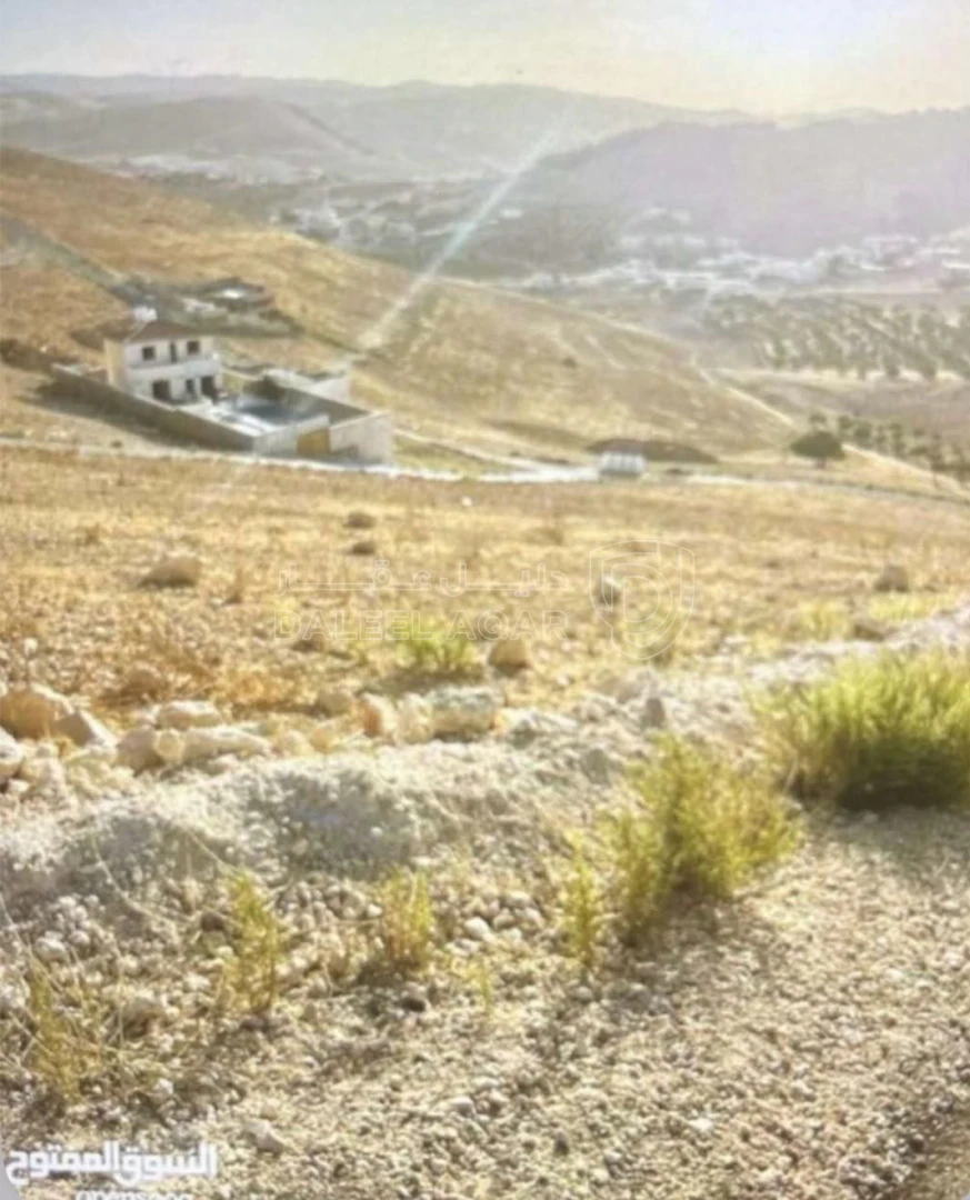 أرض في قطعه ارض للبيع ، تبعد ا كيلو متر عن شارع بيرين - 17,500 دأ - صورة 1