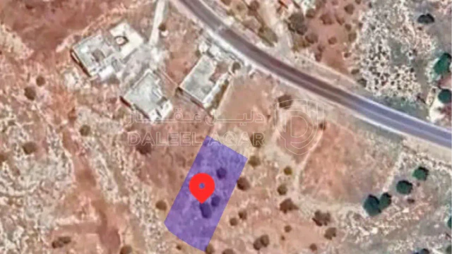 أرض في دونم أرض للبيع في عجلون رقم لهاتف٠٧٧٨٢٩٣٩٥٣   - 43,000 دأ - صورة 1