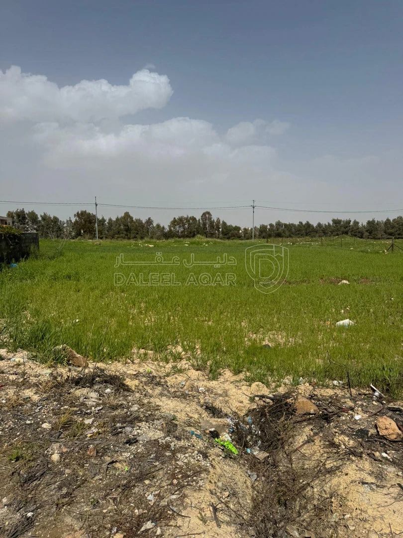 أرض في السرو مقابل مجمع العبدللات - 185,000 دأ - صورة 1