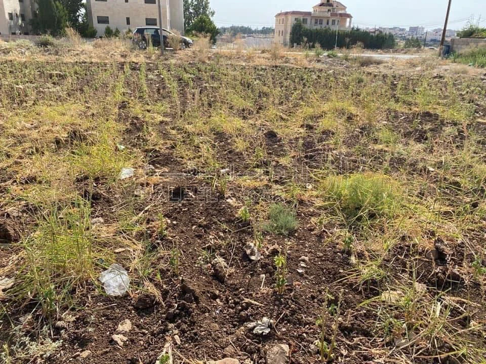 أرض في السرو مقابل مجمع العبدللات - 185,000 دأ - صورة 1