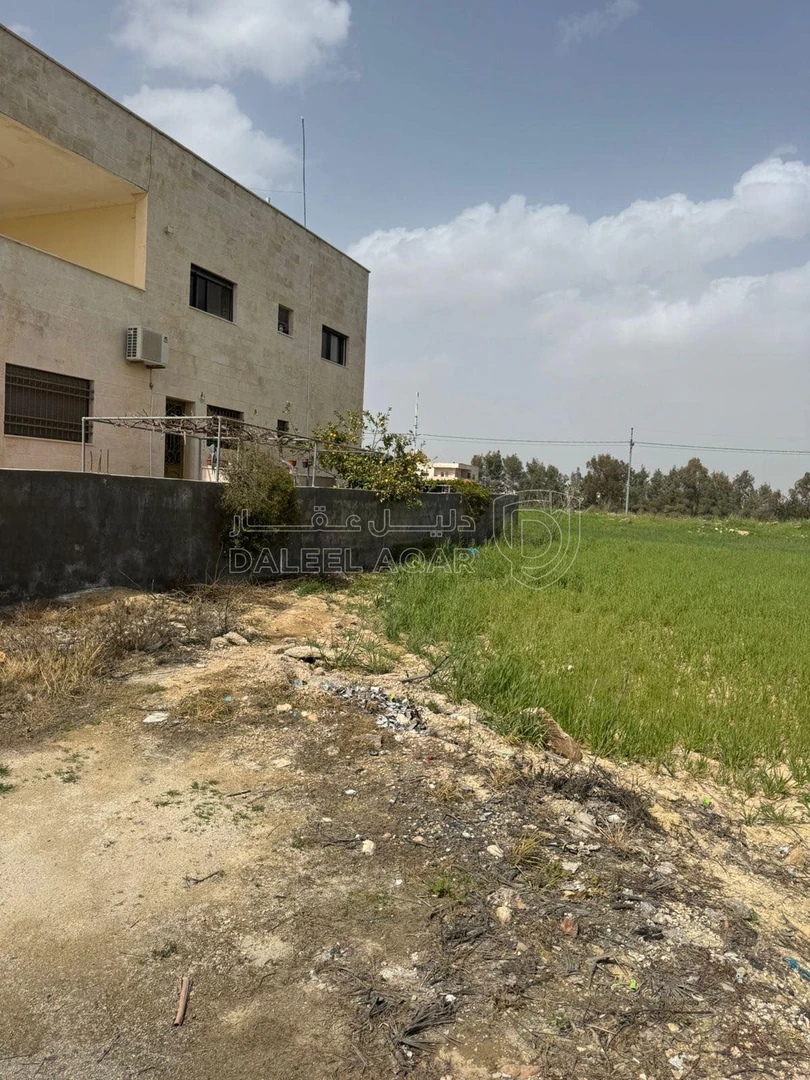 أرض في السرو مقابل مجمع العبدللات - 185,000 دأ - صورة 1