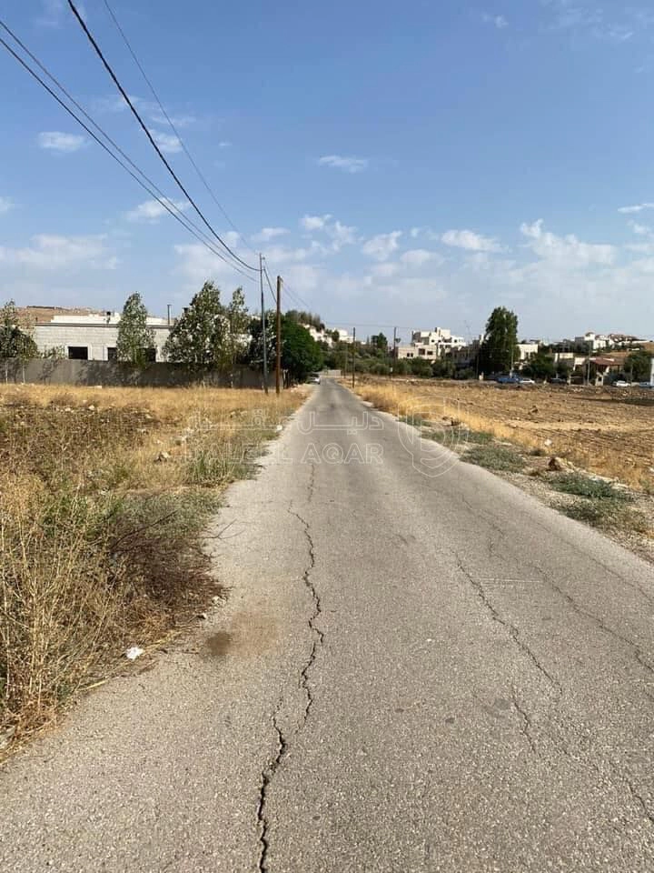 أرض في السرو مقابل مجمع العبدللات - 185,000 دأ - صورة 1