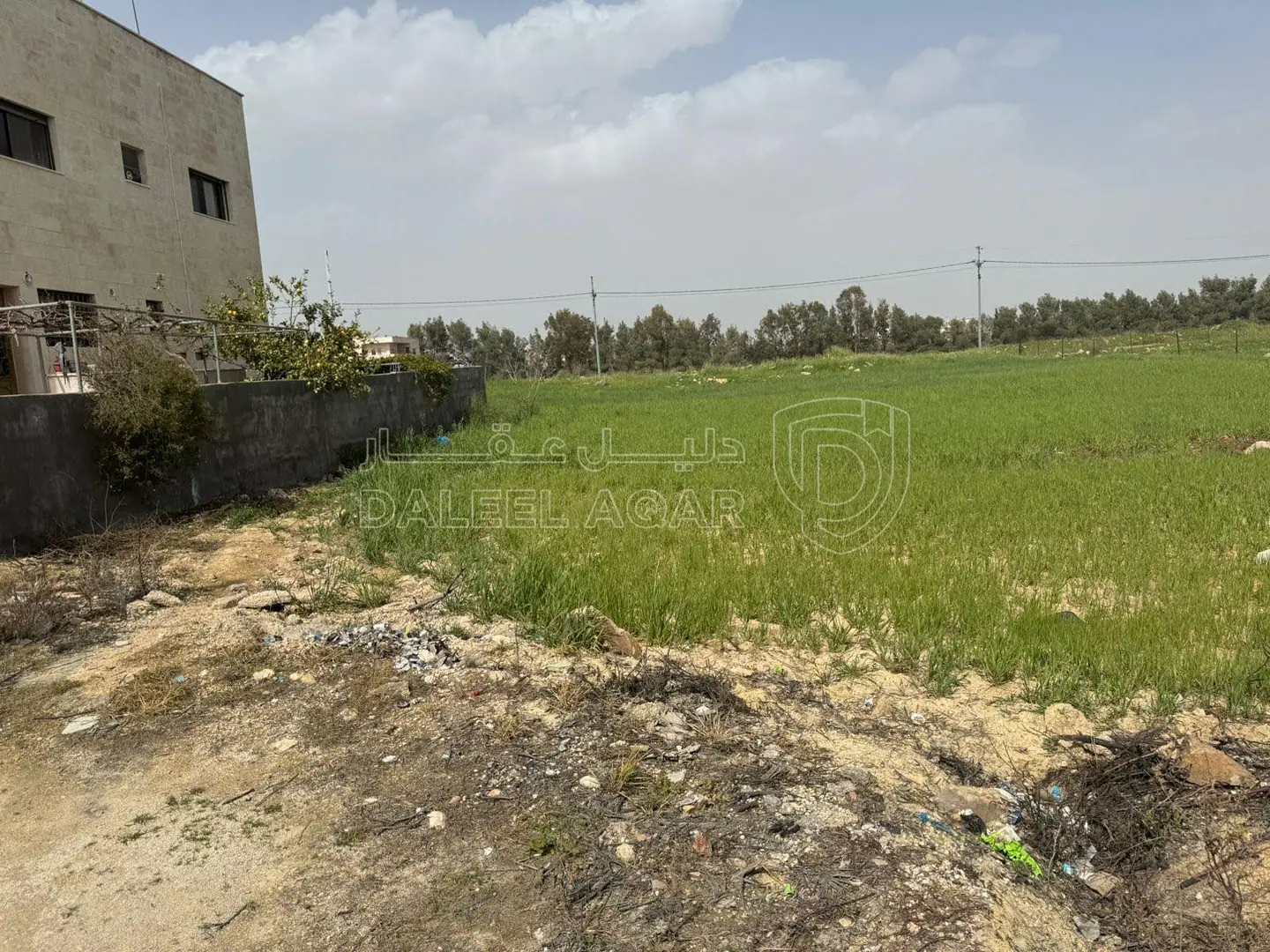 أرض في السرو مقابل مجمع العبدللات - 185,000 دأ - صورة 1