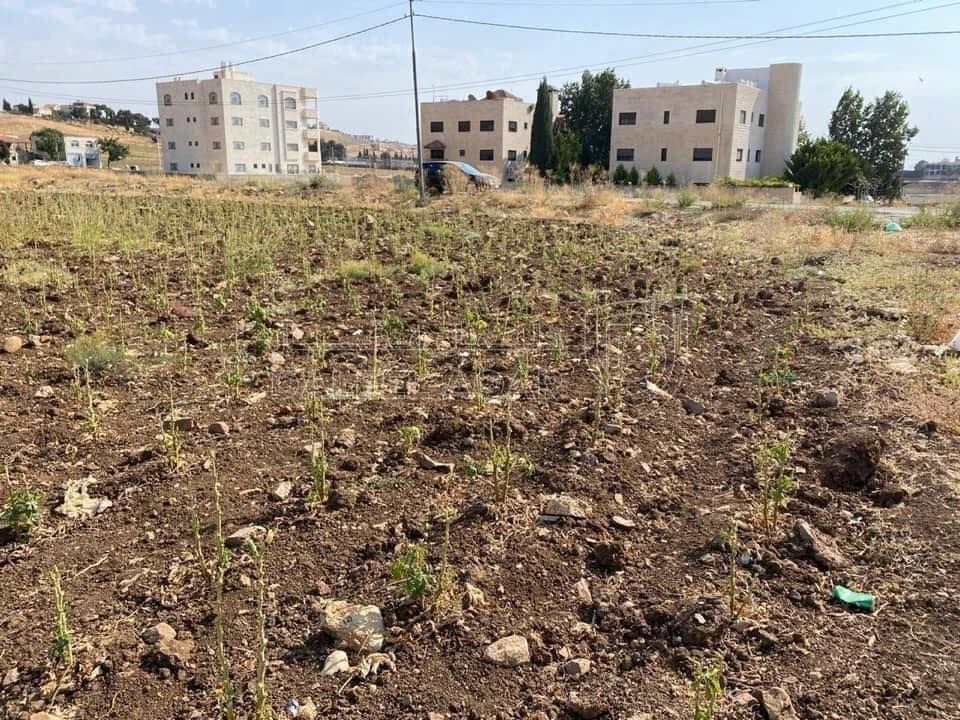 أرض في السرو مقابل مجمع العبدللات - 185,000 دأ - صورة 1