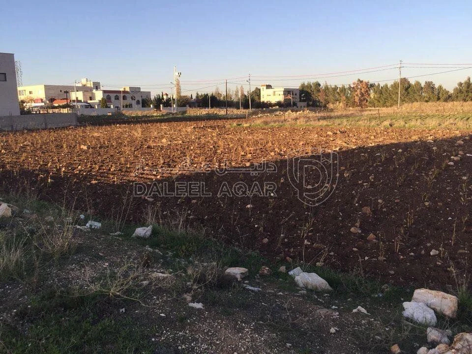 أرض في السرو مقابل مجمع العبدللات - 185,000 دأ - صورة 1