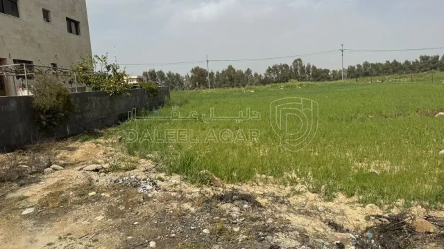 أرض - السرو مقابل مجمع العبدللات - 185000 دأ