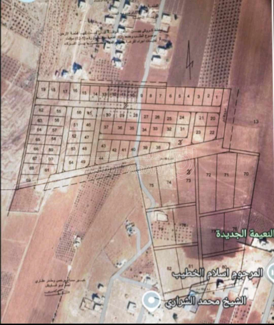 أرض في إربد/ النعيمة ام مصرارة الغربي - 50,000 دأ - صورة 1