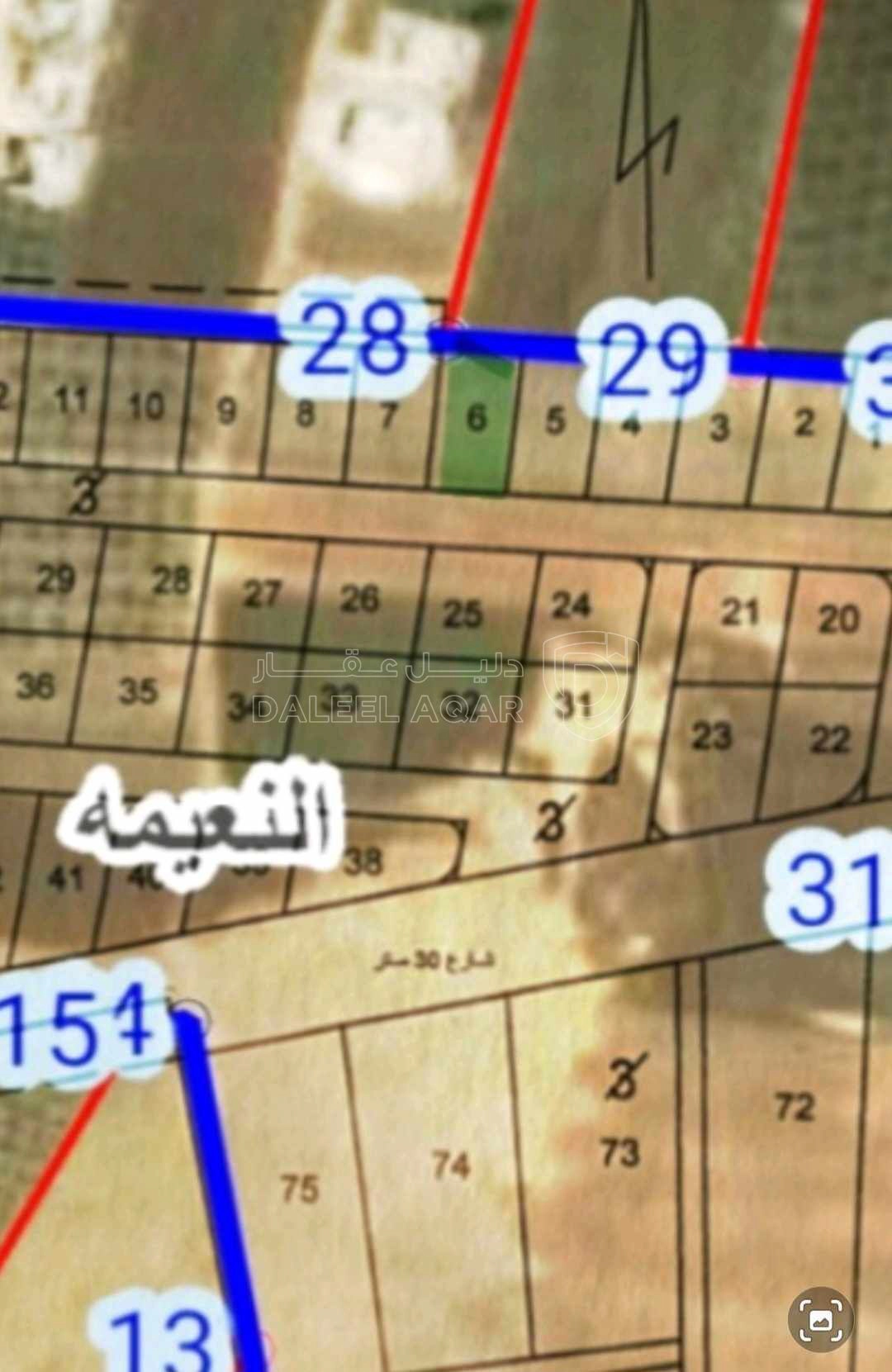 أرض في إربد/ النعيمة ام مصرارة الغربي - 50,000 دأ - صورة 1