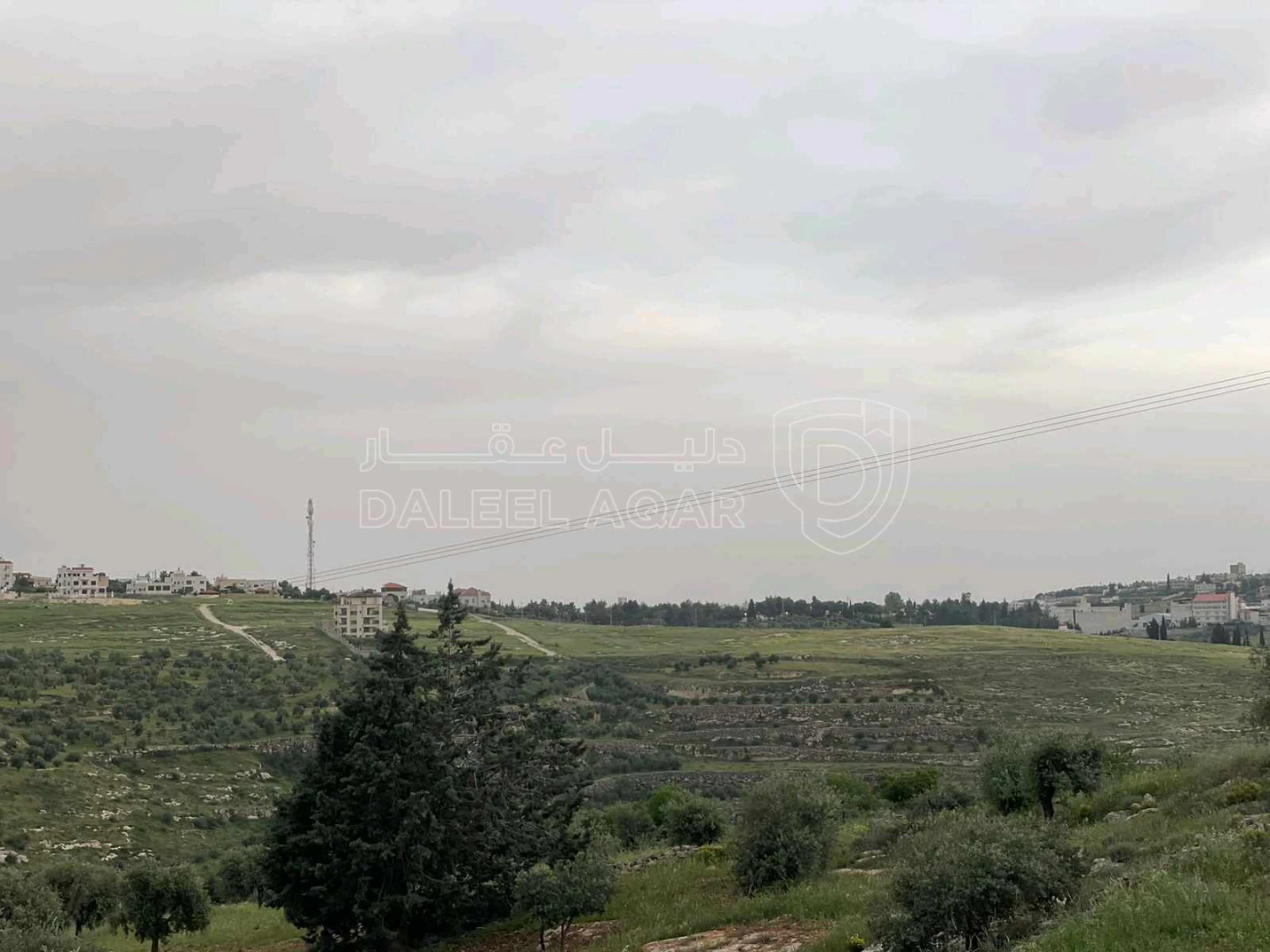 أرض في عمان، ناعور - 390,000 دأ - صورة 1