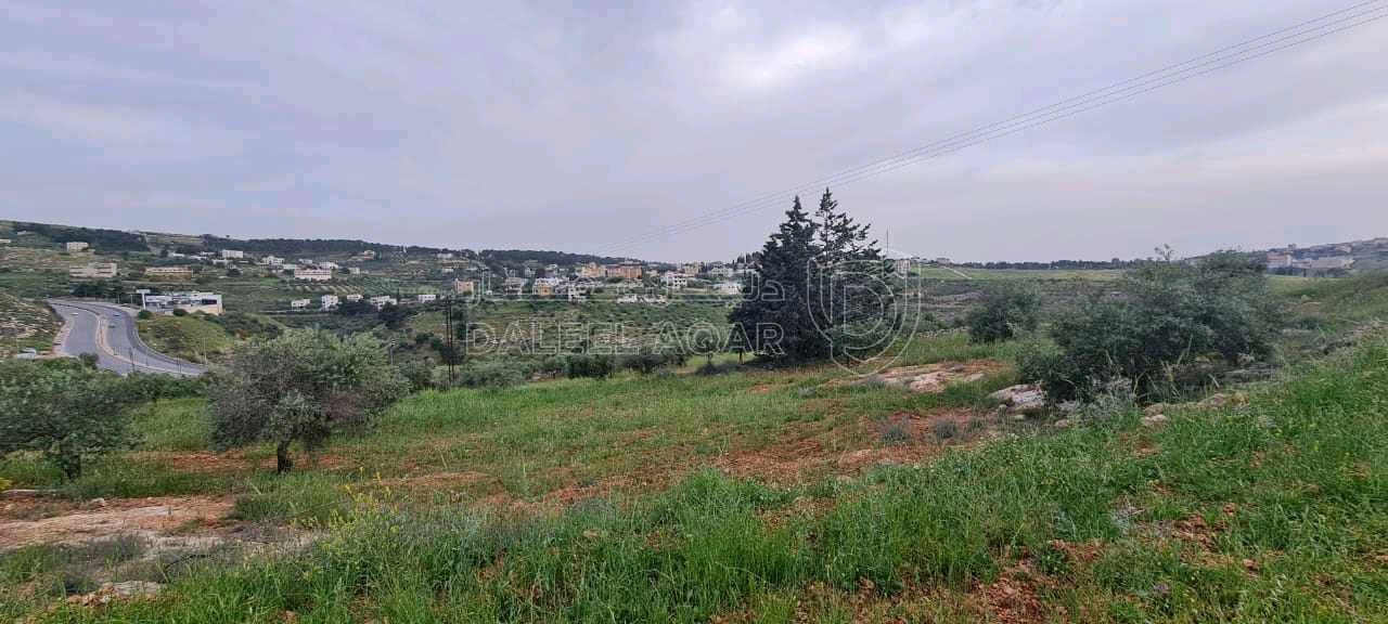 أرض في عمان، ناعور - 390,000 دأ - صورة 1