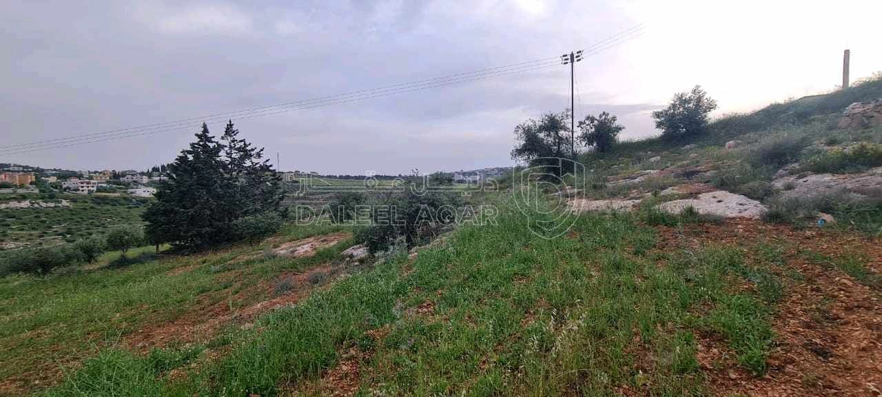 أرض في عمان، ناعور - 390,000 دأ - صورة 1
