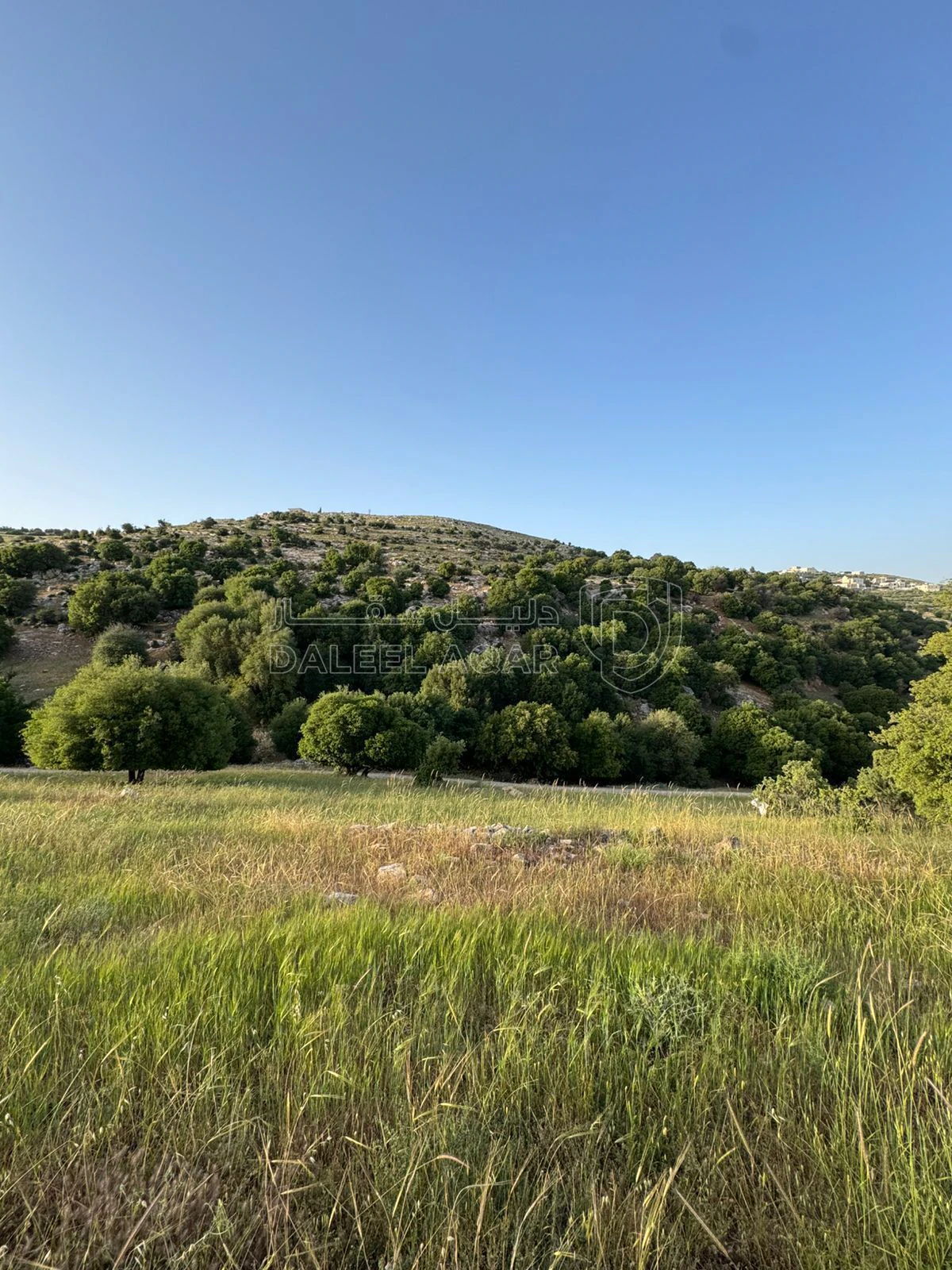 أرض في السلط الزعتري  - 125,000 دأ - صورة 1