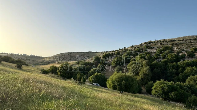 أرض في السلط الزعتري  - 125,000 دأ - صورة NaN