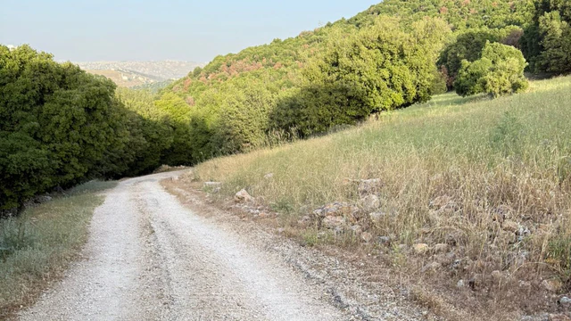 أرض في السلط الزعتري  - 125,000 دأ - صورة NaN