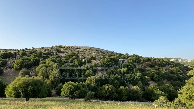 أرض في السلط الزعتري  - 125,000 دأ - صورة NaN