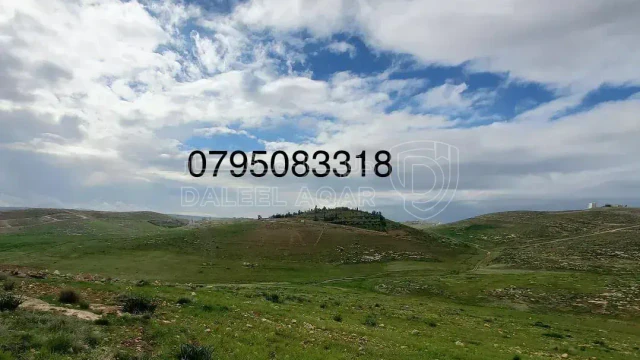أرض -  عمان شفابدران بجانب اسكان وزارة التربية  - 515000 دأ