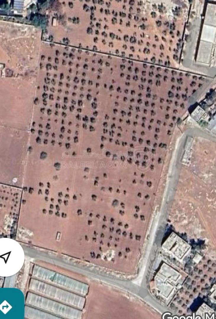 أرض في مادبا - 50,000 دأ - صورة 1