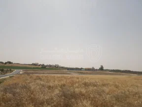 أرض في  مشروع أراضي جيران الشهد - 62,000 دأ - صورة NaN