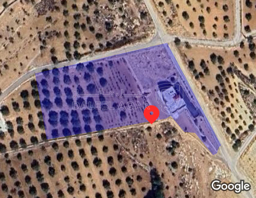 فيلا/منزل في جرش سوف - 500,000 دأ - صورة 1