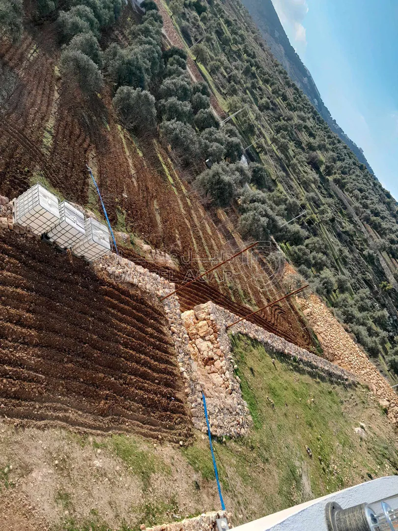 فيلا/منزل في جرش سوف - 500,000 دأ - صورة 1