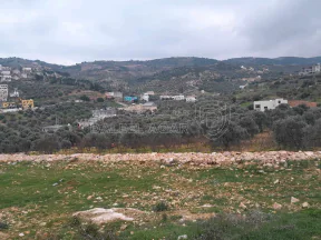 فيلا/منزل في جرش سوف - 500,000 دأ - صورة NaN