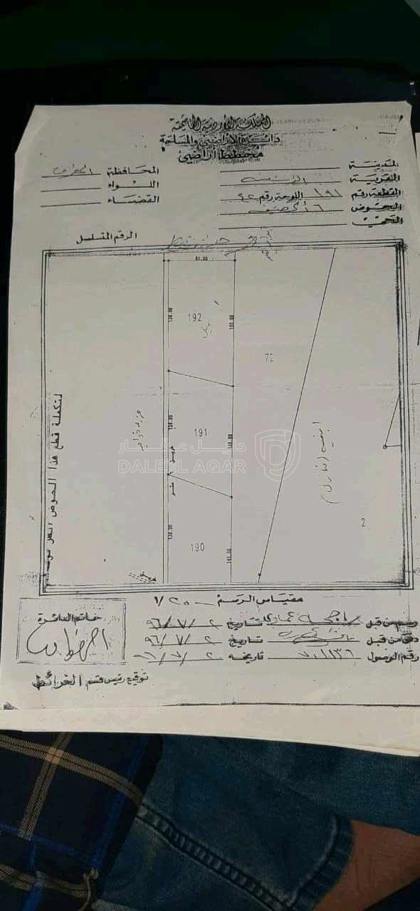 أرض في المفرق لواء بلعما الزنية المزرعة ارض زي الكف - 65,000 دأ - صورة 1