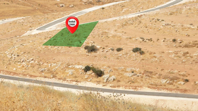 أرض في ارض للبيع في شفا بدران -زينات الربوع - 59,000 دأ - صورة NaN