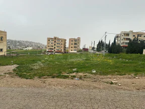 أرض في الثنيه بالقرب من الموسسه العسكريه - 50,000 دأ - صورة NaN