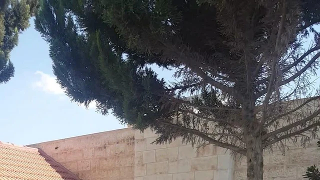 فيلا/منزل في طبربور،  جامعة العلوم الاسلاميه  - 180,000 دأ - صورة NaN