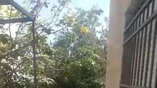 فيلا/منزل في طبربور،  جامعة العلوم الاسلاميه  - 180,000 دأ - صورة NaN