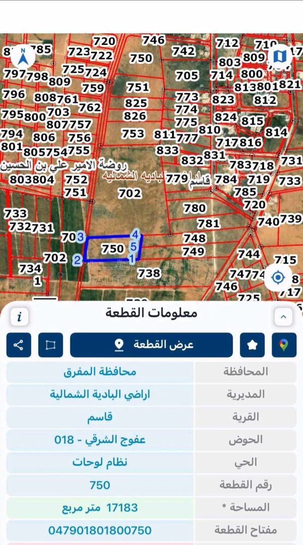 أرض في المفرق اراضي البادية قرية قاسم - 8,600 دأ - صورة 1
