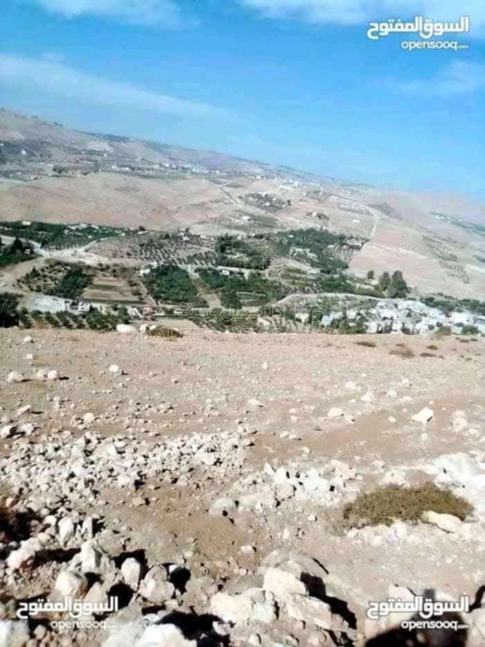 أرض في القنيه شارع رئيسي يربط جرش القنيه السخنه الزرقاء  - 55,000 دأ - صورة 1